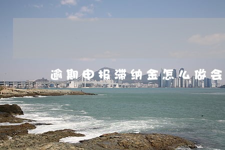逾期申报滞纳金怎么做会计分录