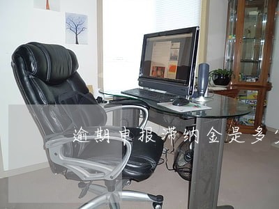 逾期申报滞纳金是多少 逾期申报滞纳金是多少