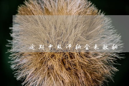 逾期申报滞纳金未缴纳 逾期申报滞纳金未缴纳