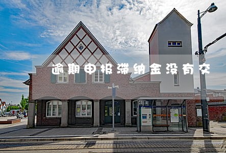 逾期申报滞纳金没有交 逾期申报滞纳金没有交