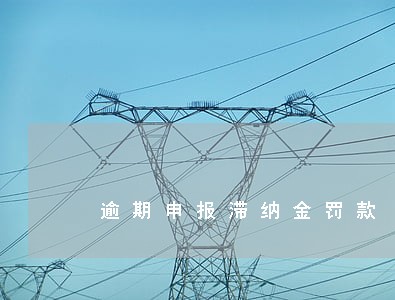 逾期申报滞纳金罚款 逾期申报滞纳金罚款
