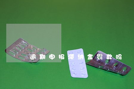 逾期申报滞纳金罚款吗 逾期申报滞纳金罚款吗