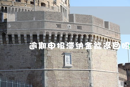 逾期申报滞纳金能退回吗