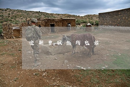 逾期申报热线电话