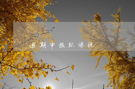 逾期申报环保税 逾期申报环保税