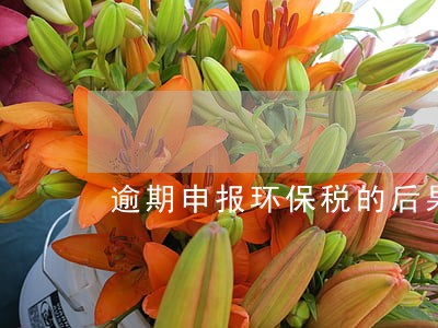 逾期申报环保税的后果 逾期申报环保税的后果