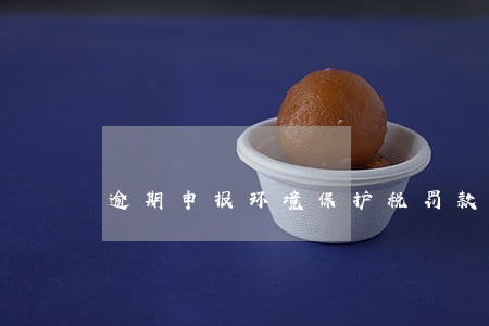逾期申报环境保护税罚款 逾期申报环境保护税罚款