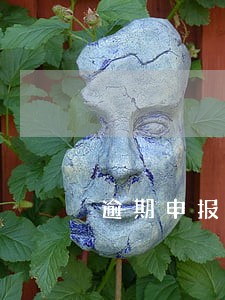 逾期申报用带公章吗 逾期申报用带公章吗