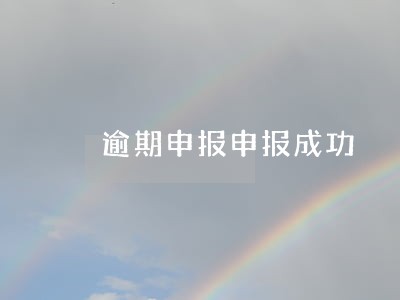 逾期申报申报成功 逾期申报申报成功