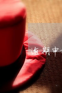 逾期申报申请书 逾期申报申请书