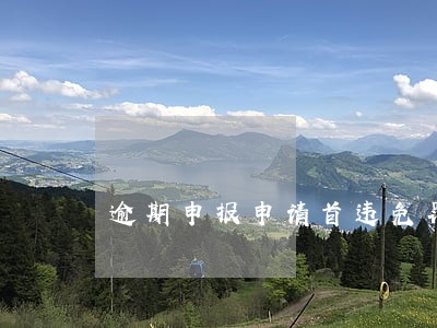 逾期申报申请首违免罚