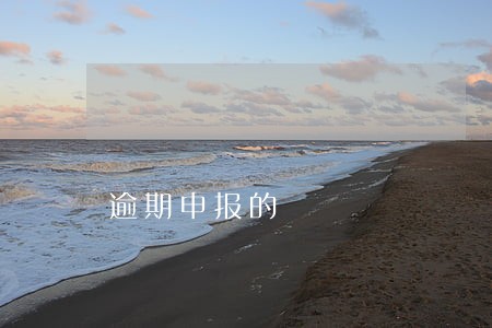 逾期申报的 逾期申报的