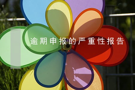 逾期申报的严重性报告 逾期申报的严重性报告