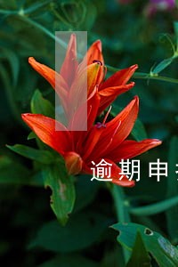 逾期申报的个税有买房资格吗 逾期申报的个税有买房资格吗