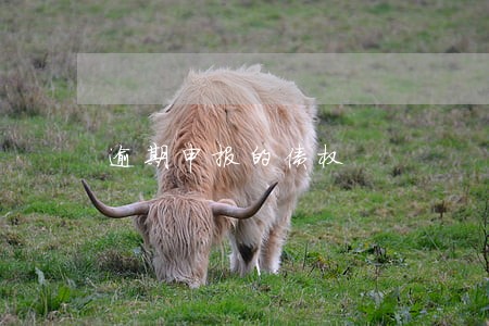 逾期申报的债权 逾期申报的债权