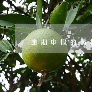 逾期申报的债权怎么收费 逾期申报的债权怎么收费