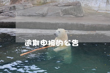 逾期申报的公告 逾期申报的公告