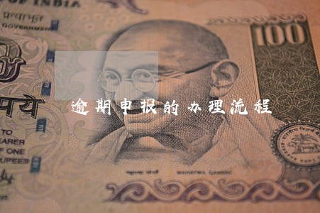 逾期申报的办理流程 逾期申报的办理流程