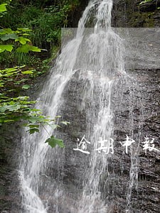 逾期申报的只能去税务大厅报吗