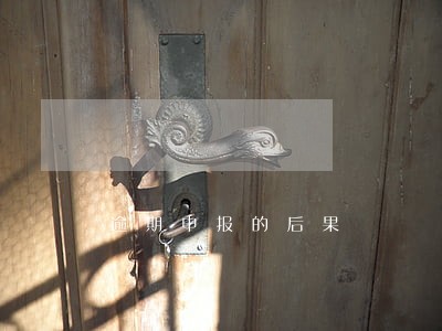 逾期申报的后果 逾期申报的后果