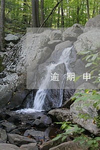 逾期申报的委托书 逾期申报的委托书