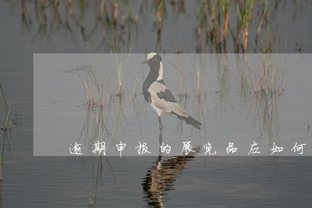 逾期申报的展览品应如何处理 逾期申报的展览品应如何处理