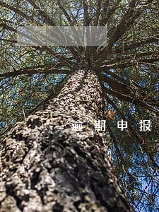 逾期申报的工会经费怎么缴款呢 逾期申报的工会经费怎么缴款呢