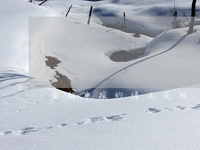 逾期申报的情况说明 逾期申报的情况说明