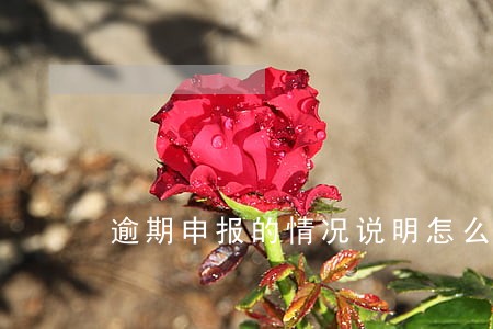 逾期申报的情况说明怎么写 逾期申报的情况说明怎么写