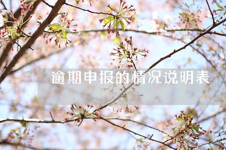 逾期申报的情况说明表 逾期申报的情况说明表