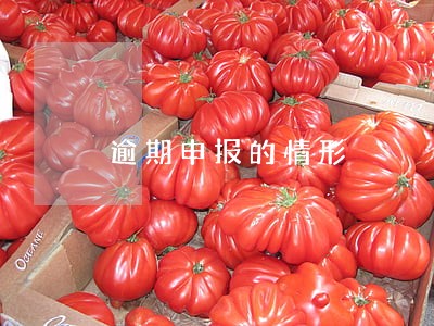 逾期申报的情形 逾期申报的情形