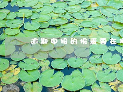 逾期申报的报表要在哪里打印 逾期申报的报表要在哪里打印