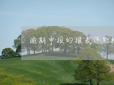 逾期申报的报表还能撤销吗 逾期申报的报表还能撤销吗