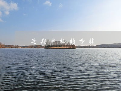 逾期申报的步骤 逾期申报的步骤