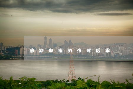 逾期申报的法律后果 逾期申报的法律后果