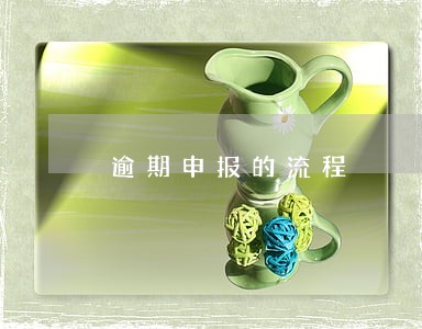 逾期申报的流程 逾期申报的流程