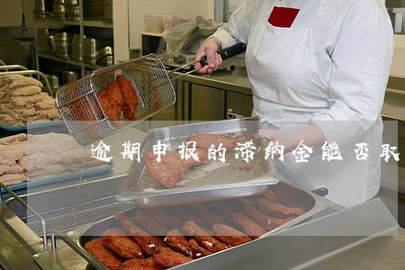 逾期申报的滞纳金能否取消 逾期申报的滞纳金能否取消