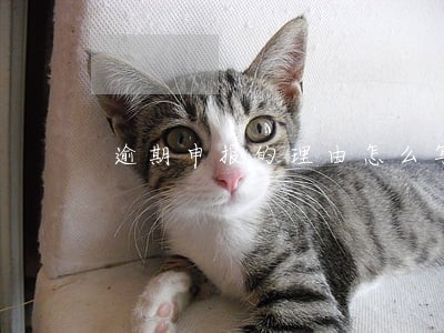 逾期申报的理由怎么写 逾期申报的理由怎么写
