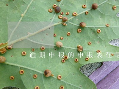 逾期申报的申报表在哪里打印 逾期申报的申报表在哪里打印