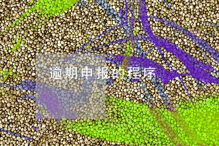 逾期申报的程序 逾期申报的程序