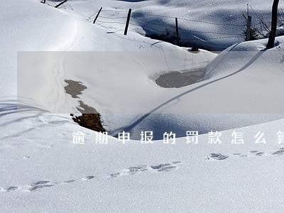 逾期申报的罚款怎么算的 逾期申报的罚款怎么算的