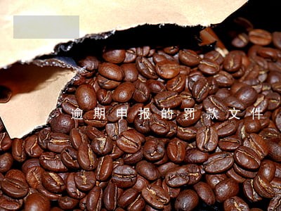 逾期申报的罚款文件 逾期申报的罚款文件