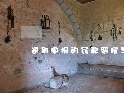 逾期申报的罚款照耀写什么 逾期申报的罚款照耀写什么