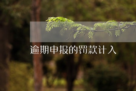 逾期申报的罚款计入 逾期申报的罚款计入