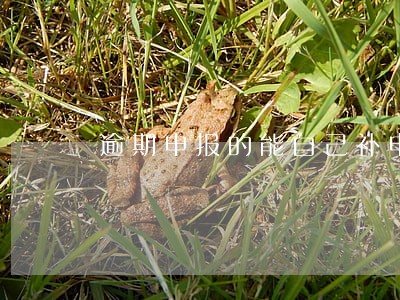 逾期申报的能自己补申报吗