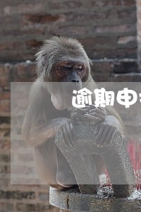 逾期申报社保为什么扣缴不成功 逾期申报社保为什么扣缴不成功