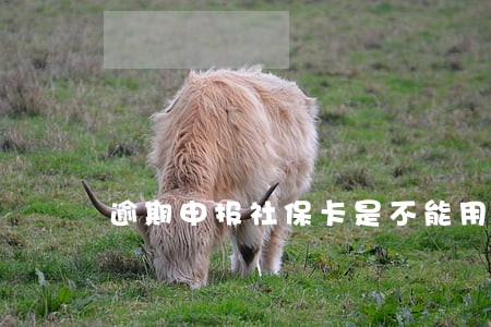 逾期申报社保卡是不能用吗 逾期申报社保卡是不能用吗