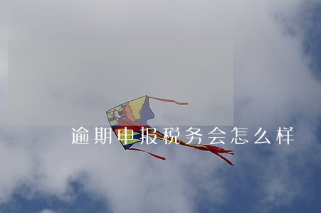 逾期申报税务会怎么样 逾期申报税务会怎么样
