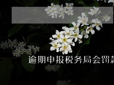 逾期申报税务局会罚款吗 逾期申报税务局会罚款吗