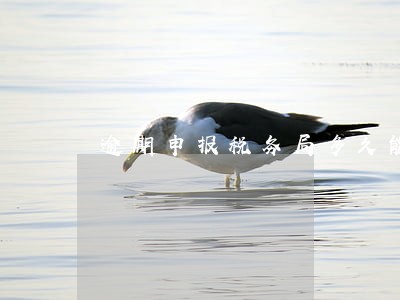 逾期申报税务局多久能给批复 逾期申报税务局多久能给批复